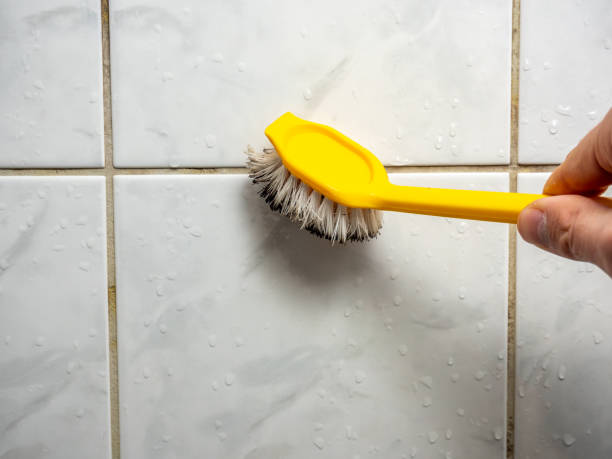 Mold Testing and Removal in Hawaiian Gardens, CA