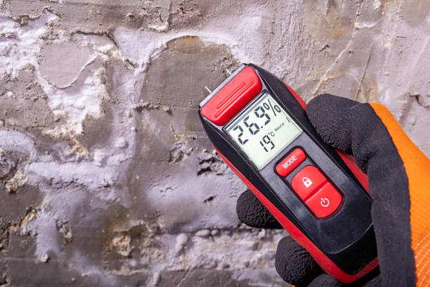 Best Mold Remediation Experts  in Hawaiian Gardens, CA