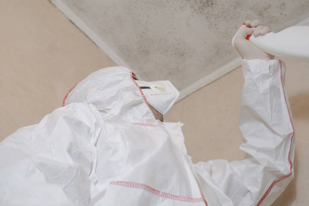 Best Mold Testing  in Hawaiian Gardens, CA